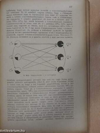 Állattani Közlemények 1942/3-4.