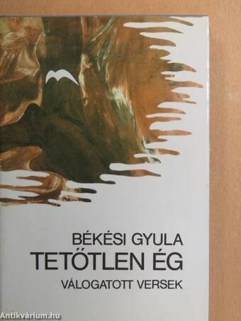 Tetőtlen ég