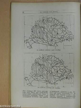 Természettudományi Közlöny 1933. január-december