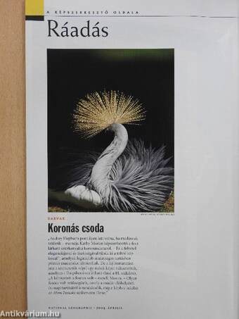 National Geographic Magyarország 2004. április