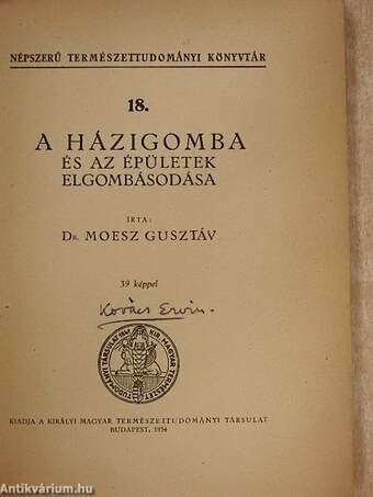 A házigomba és az épületek elgombásodása