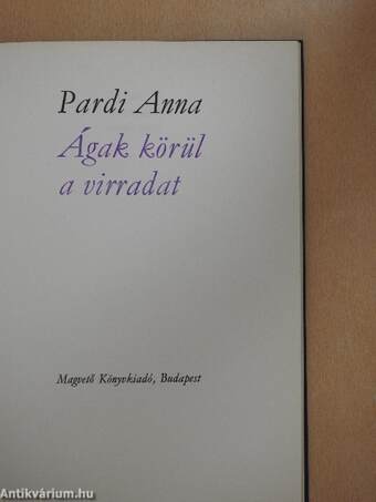 Ágak körül a virradat