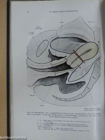 Die Gynäkologischen Operationen und ihre Topographisch-anatomischen Grundlagen