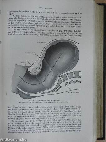 The principles and practice of obstetrics