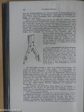 Kurzes Lehrbuch der Gynäkologie