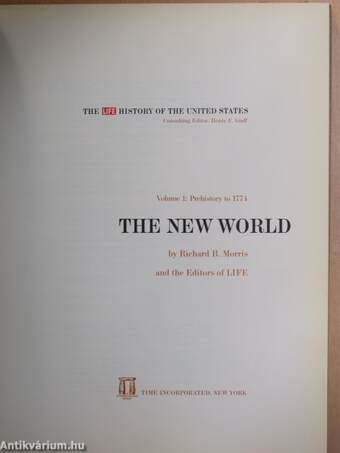 The New World I.