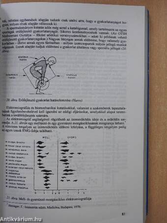 Az edzés elmélete és módszertana