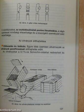 Kertészeti növények termesztése I.