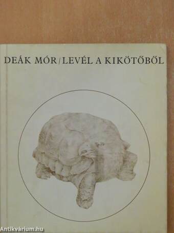 Levél a kikötőből