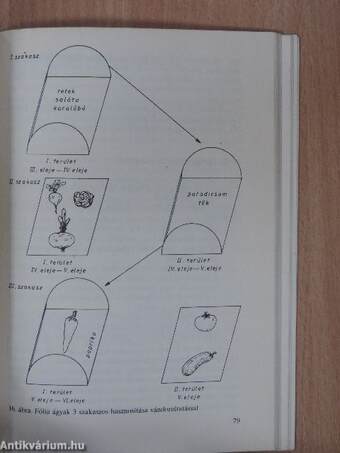 Zöldségtermesztés I.