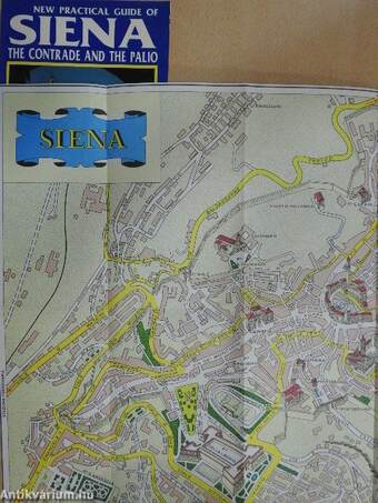 New Practical Guide of Siena