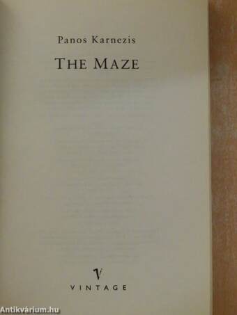 The Maze