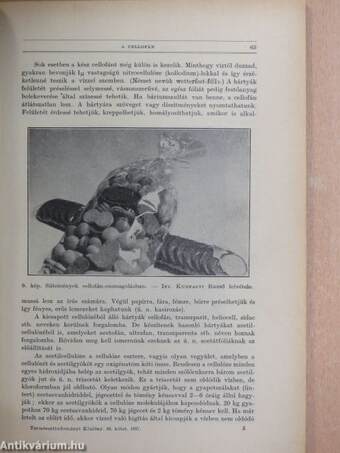 Természettudományi Közlöny 1937. február