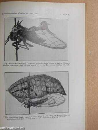 Természettudományi Közlöny 1937. február