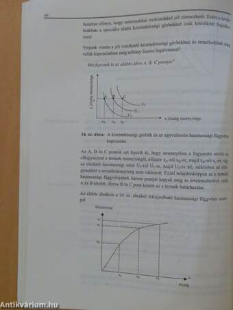 Mikroökonómia távoktatással