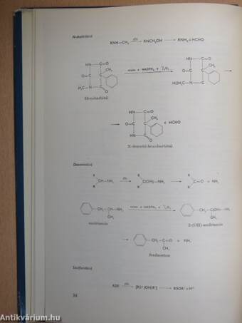 Gyógyszertan I-II.