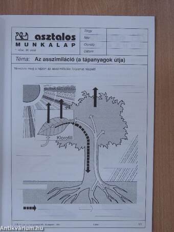 Asztalos - Munkalapok