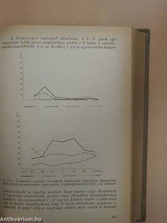 Pszichológiai tanulmányok III.