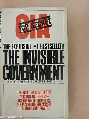 The Invisible Government