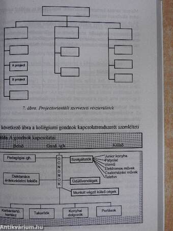 Kollégiumi neveléstan