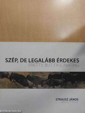 Szép, de legalább érdekes