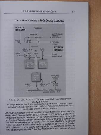 Tromboembólia: a megelőzhető sorscsapás (dedikált példány)