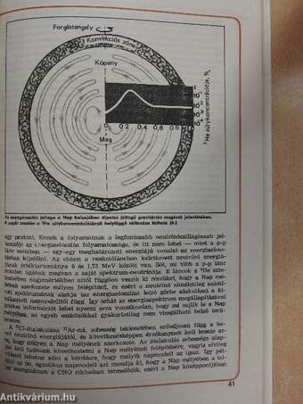 A Belding-ürgék négy hónapja