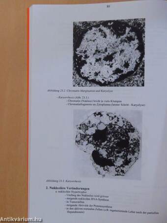 Molekulare Zellbiologie - Syllabus