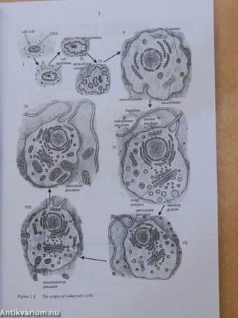 Molecular Cell Biology - Syllabus