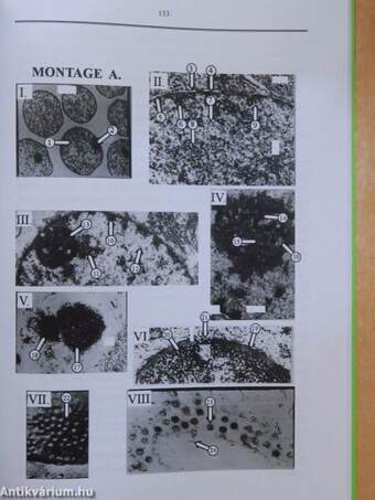 Molecular Cell Biology Laboratory Manual For Students Of Dentistry