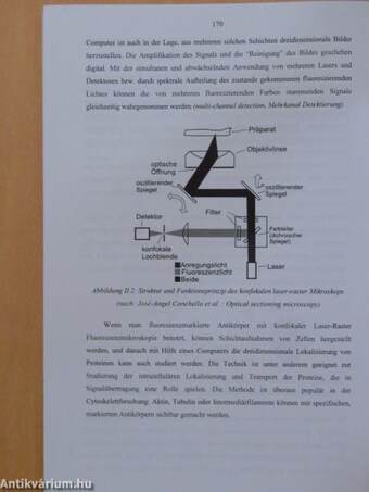 Molekulare Zellbiologie - Laborhandbuch