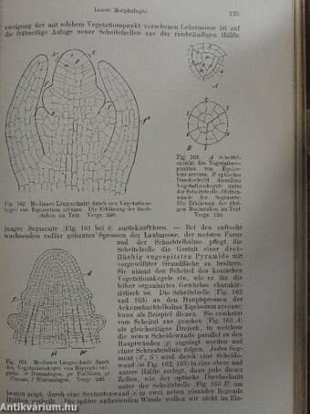 Lehrbuch der Botanik für Hochschulen (Ifj. Dr. Entz Géza könyvtárából)