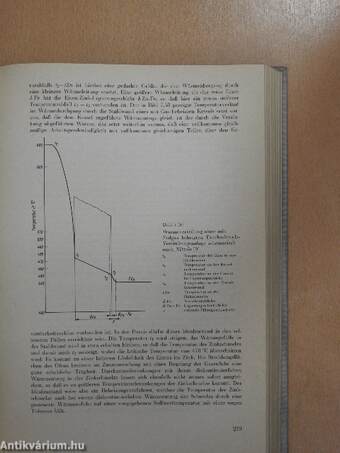 Handbuch Feuerverzinken