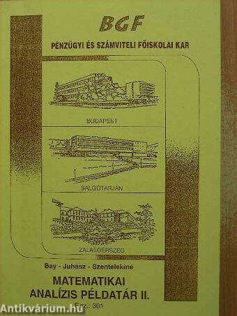 Matematikai analízis példatár II.