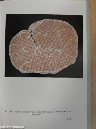 Functionalis anatomia 1-3.