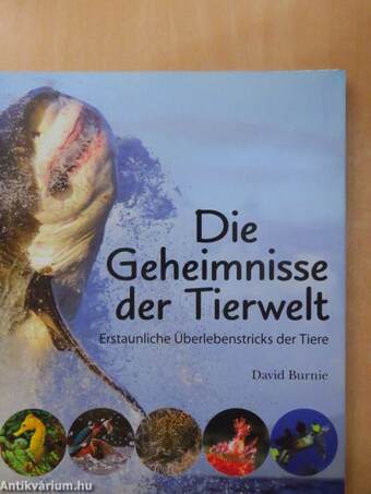 Die Geheimnisse der Tierwelt