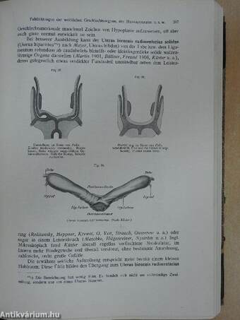 Biologie und Pathologie des Weibes III.