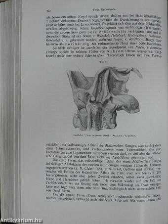 Biologie und Pathologie des Weibes III.