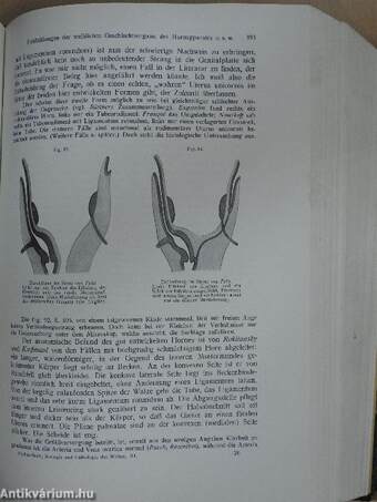 Biologie und Pathologie des Weibes III.