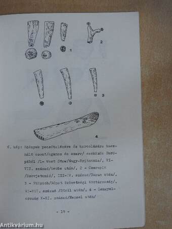 Múzeumi levelek 49-50.