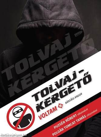 Tolvajkergető voltam