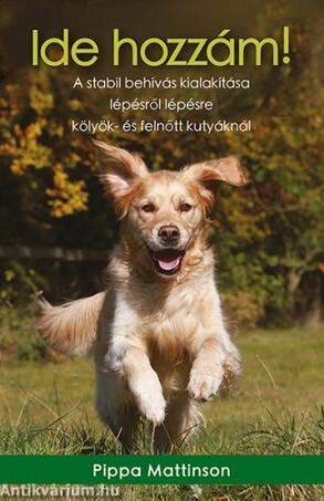 Ide hozzám! / A stabil behívás kialakítása lépésről lépésre kölyök- és felnőtt kutyáknál