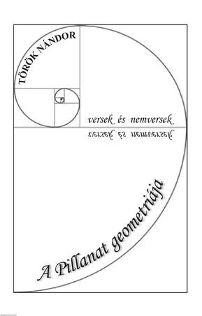 A Pillanat geometriája. Versek és nemversek