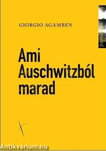 Ami Auschwitzból marad. Az archívum és a tanú.