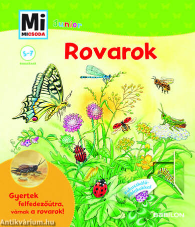 Mi MICSODA Junior - Rovarok