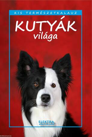 A kutyák világa