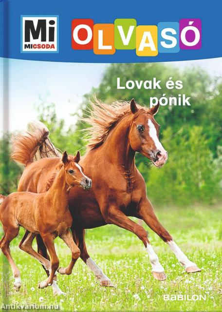 Mi MICSODA Olvasó - Lovak és pónik