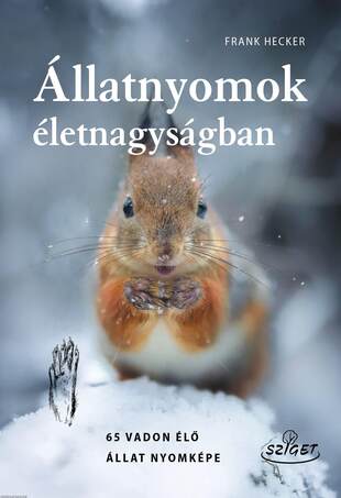 Állatnyomok életnagyságban