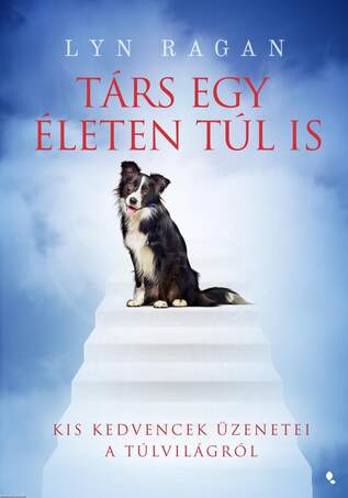 Társ egy életen túl is - Kis kedvencek üzenetei a túlvilágból