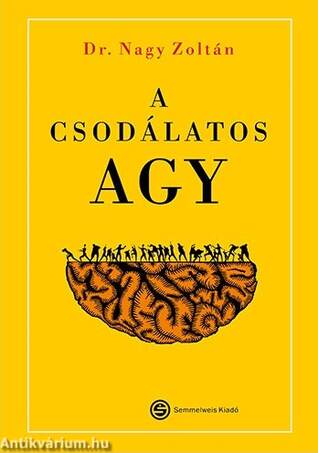 A csodálatos agy